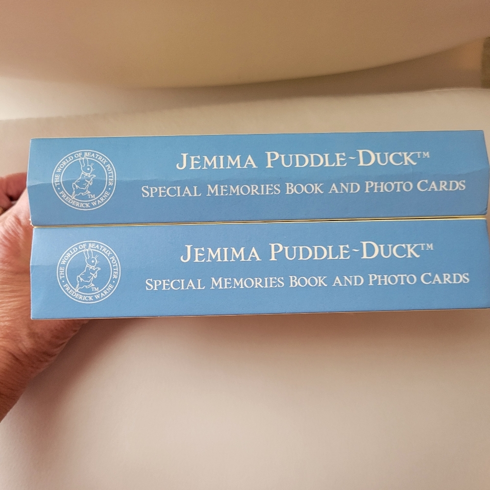 Jemima Puddle-Duck Yellow Journal & Photo Card Sets (2) ~ Beatrix Potter ~ Cute! - Picture 4 of 13